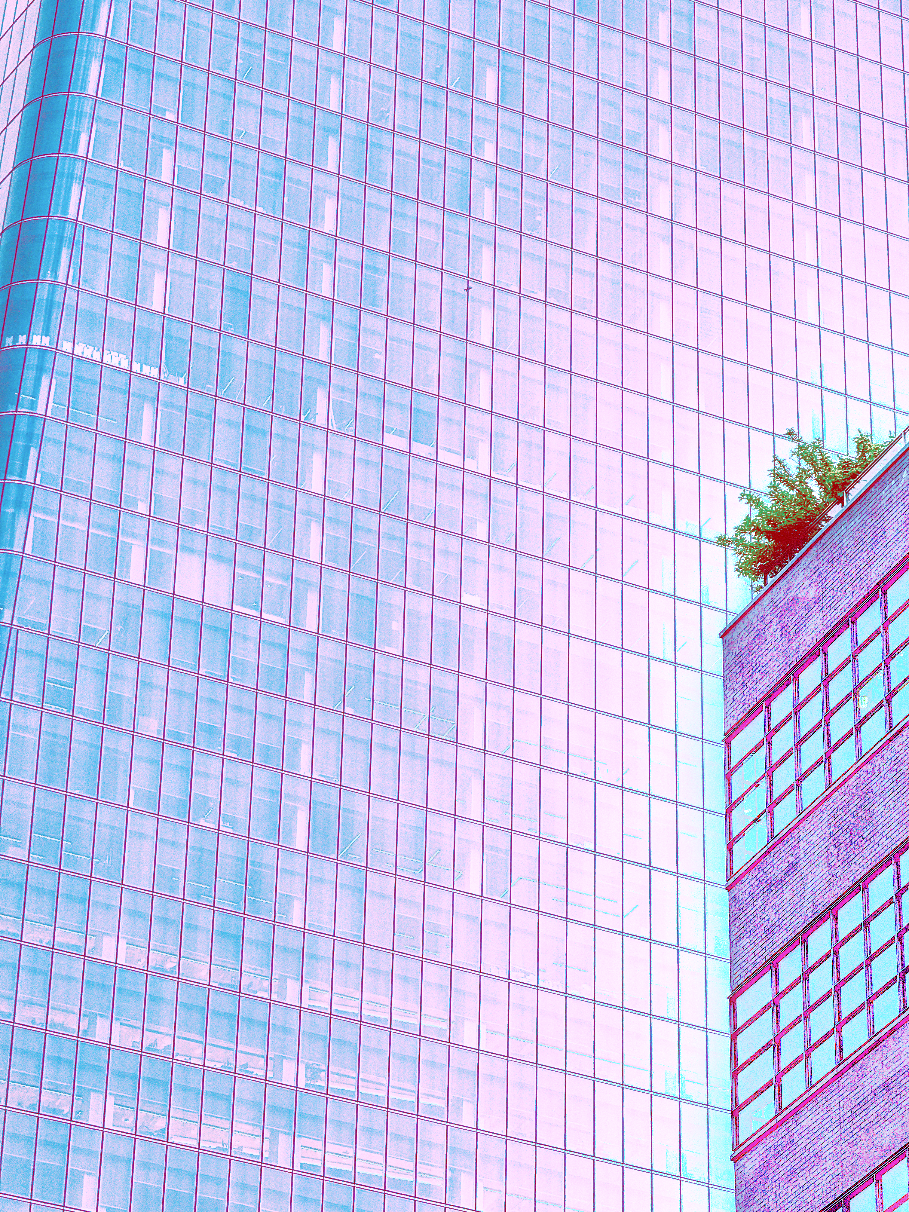 One small cyan-and-pink building looks up at another, much larger cyan-and-pink skyscraper, with the latter taking up the vast majority of the view. the colors on each form a gradient, and you can just barely see that there is a corner to the larger building.