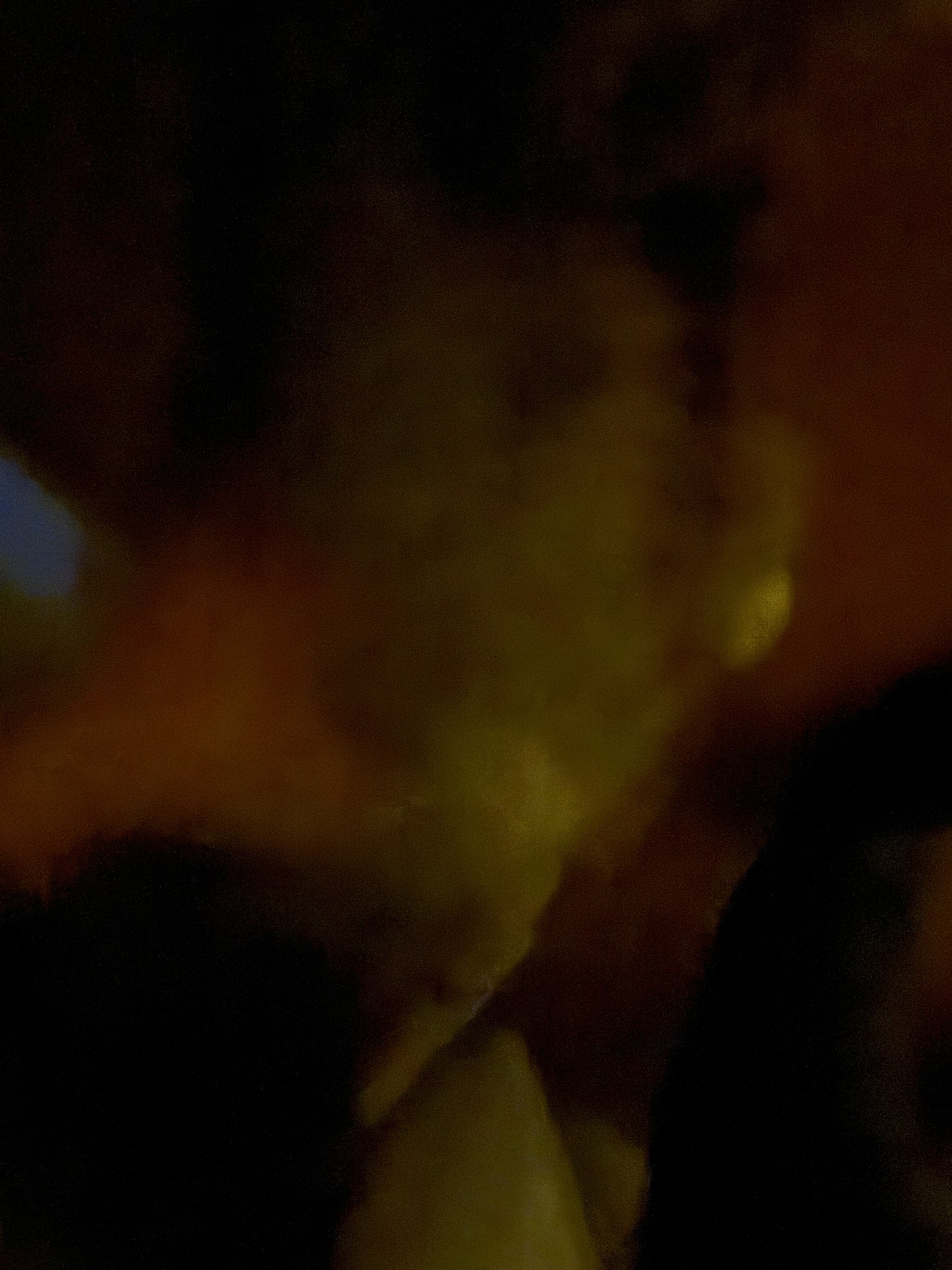petting intensifies, causing blurry shapes