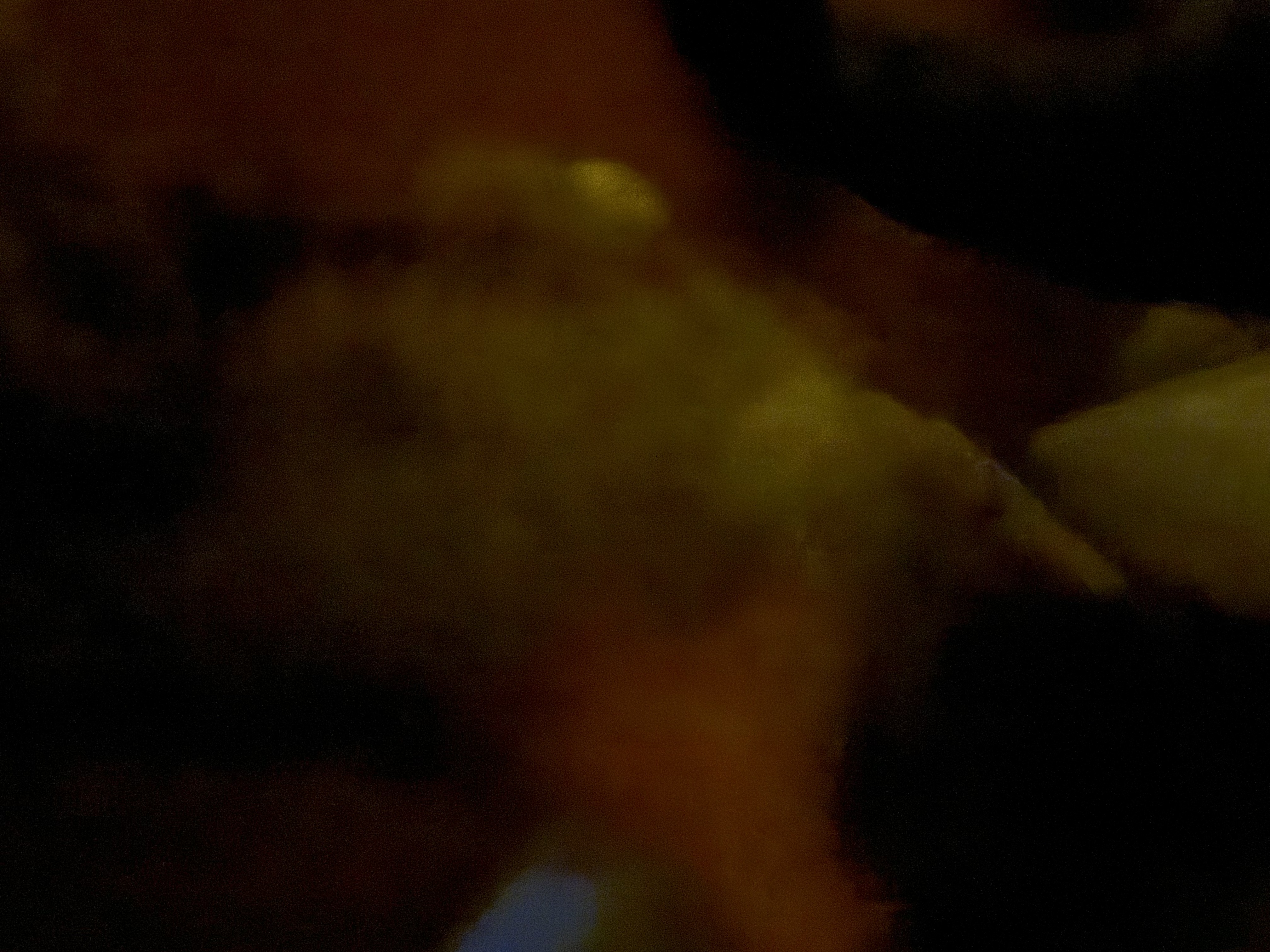 petting intensifies, causing blurry shapes