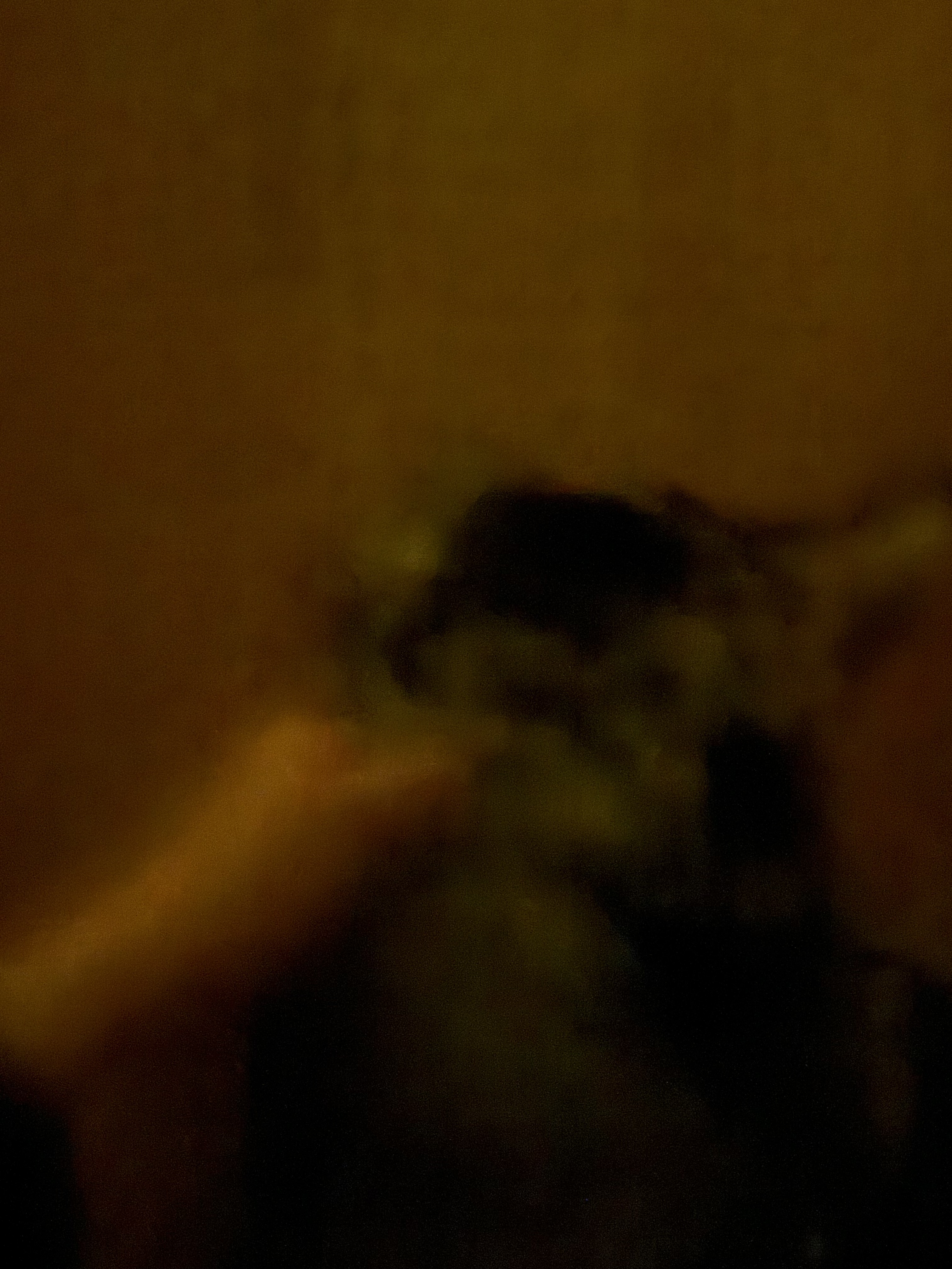pet the scruff