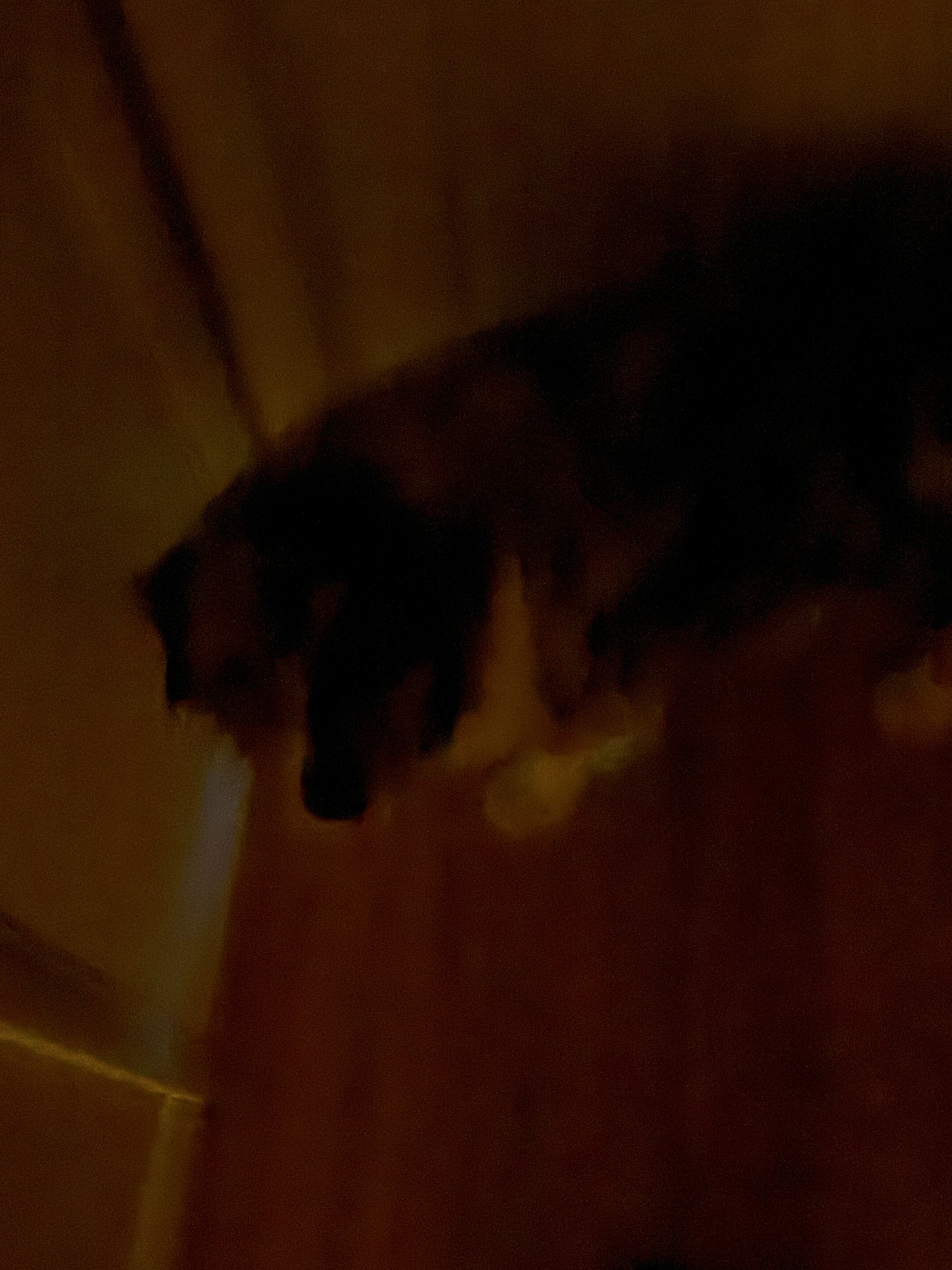 standing by the door, looking wistfully