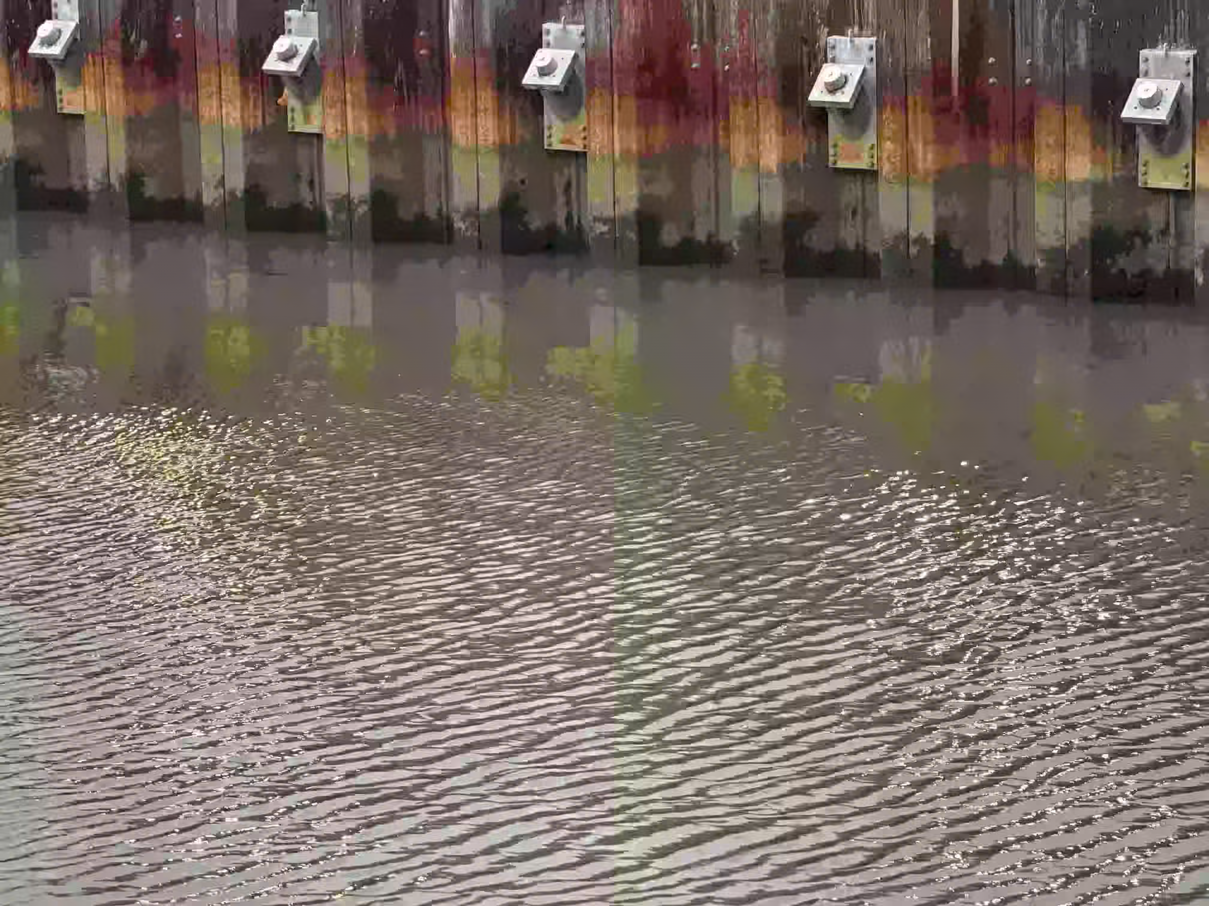 canal Square green highlights for red algae buildup on calm gray-brown water, rippling out toward the bottom of the frame