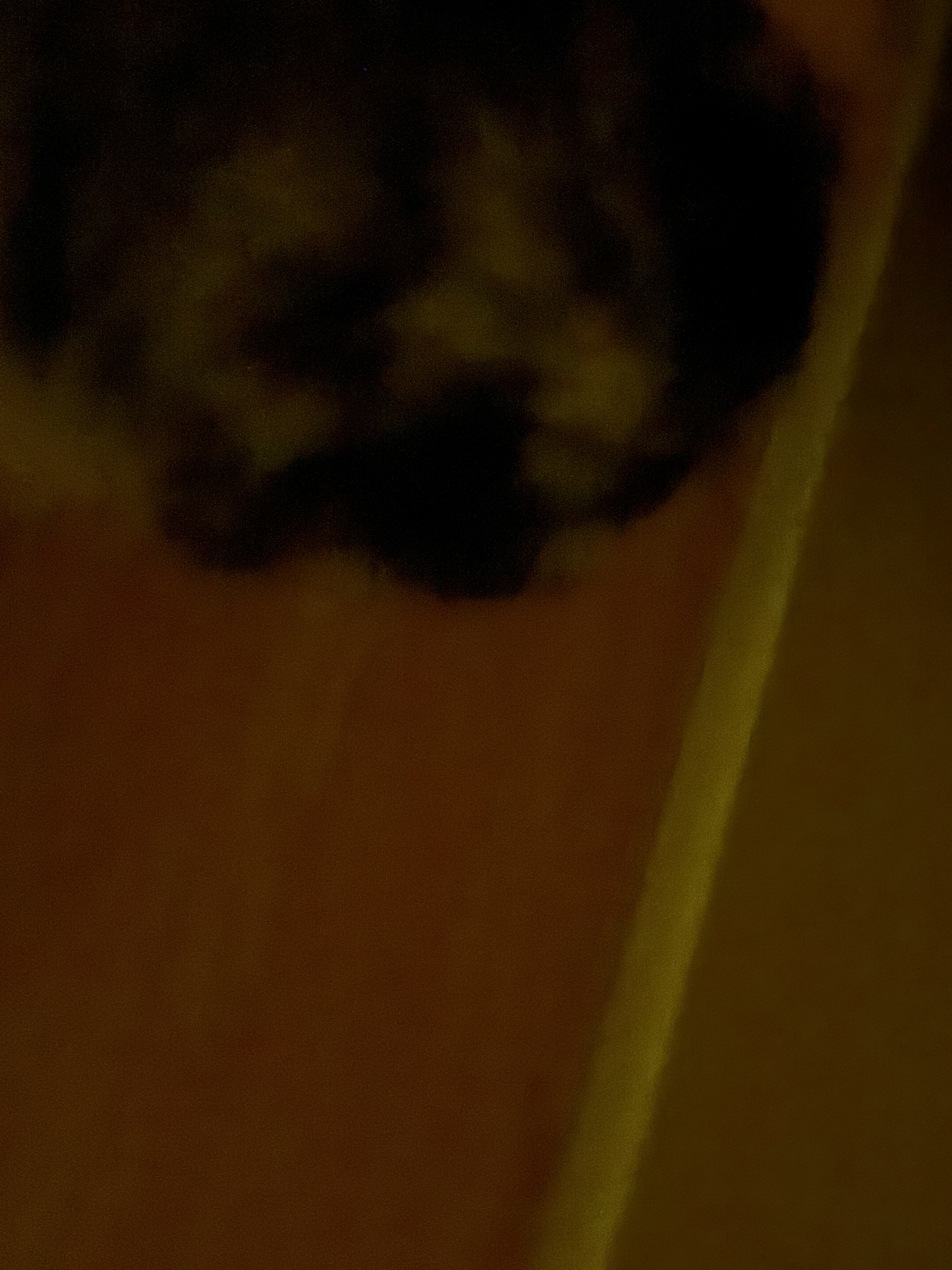 looking around while being pet