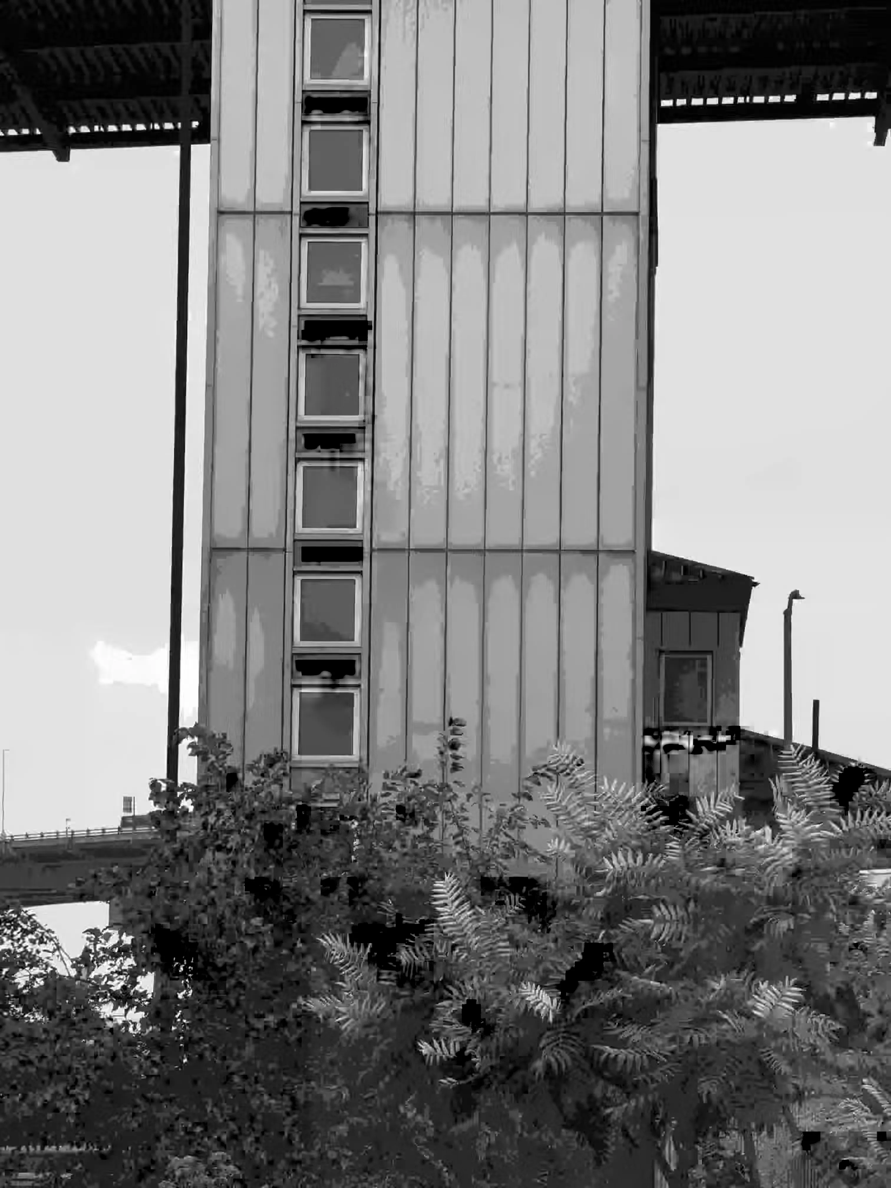 The ferns underneath a tower supporting a bridge have become unnaturally shaped &#x26; colored due to the compression