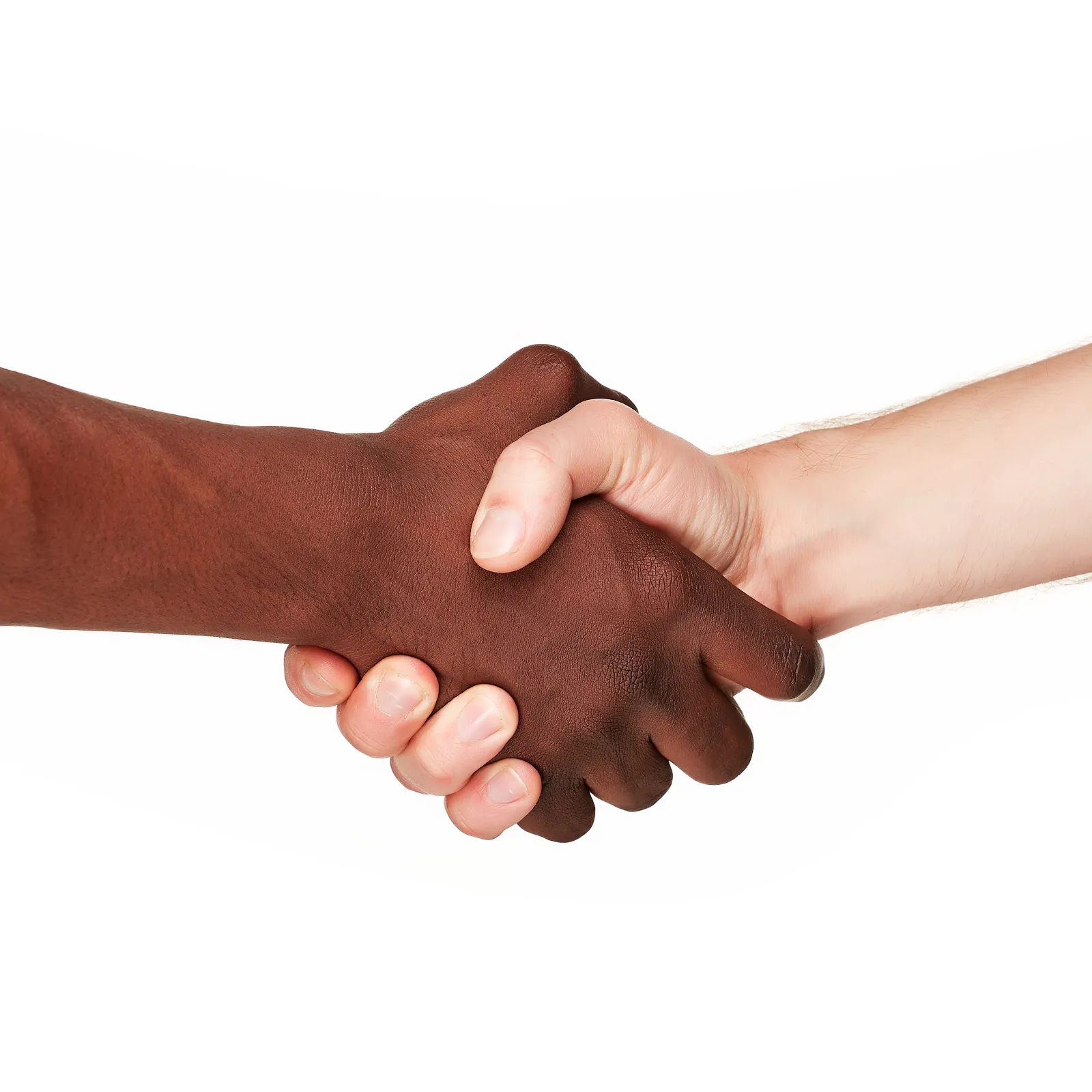 Album cover, presumably JPEGMAFIA &#x26; Flume hands in a handshake over a pure white background