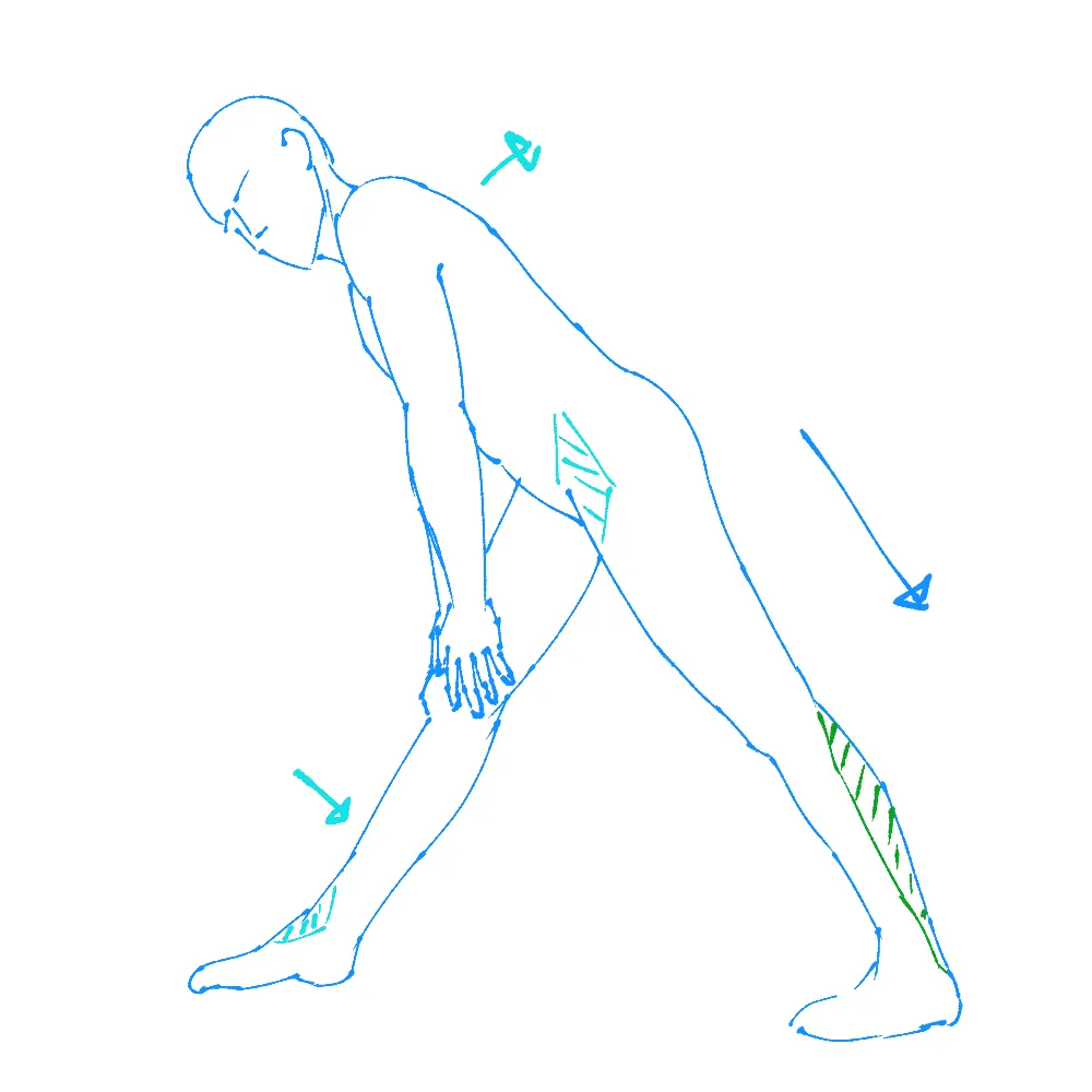 standing, one leg forward, and one leg back, leaning with back flat over the front leg, stretching the back leg